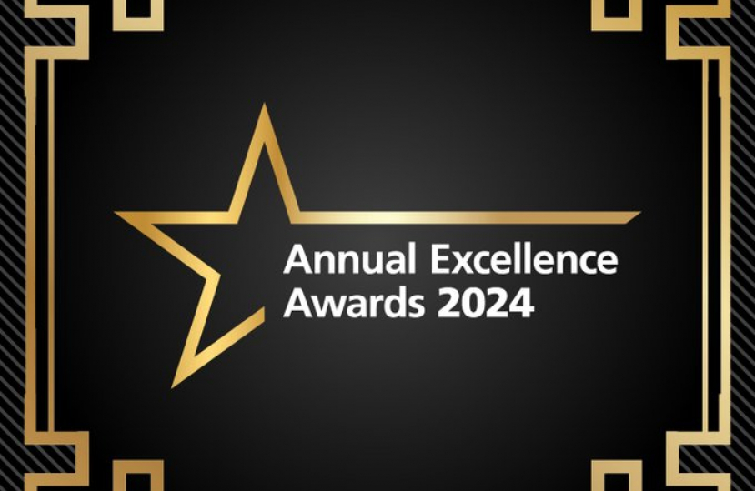 annual excellence awards